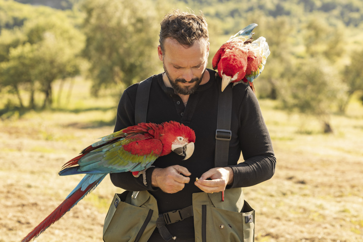 Falconeria a Castelfalfi 